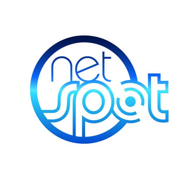Netspot Solutions logo
